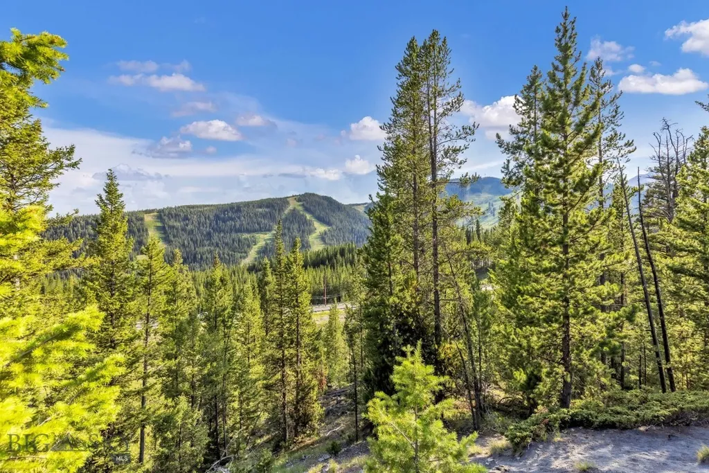 Nhn First Left Drive Big Sky MT 59716