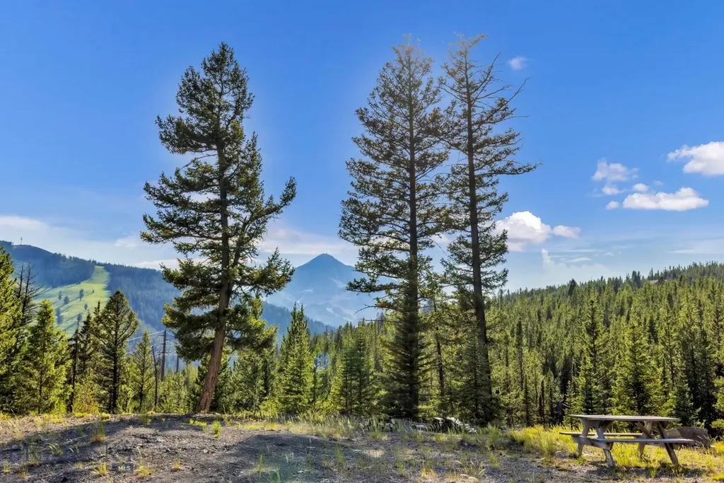 Nhn First Left Drive Big Sky MT 59716