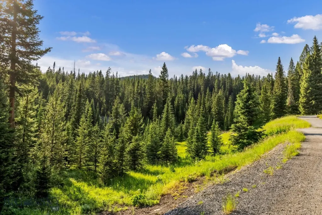 Nhn First Left Drive Big Sky MT 59716