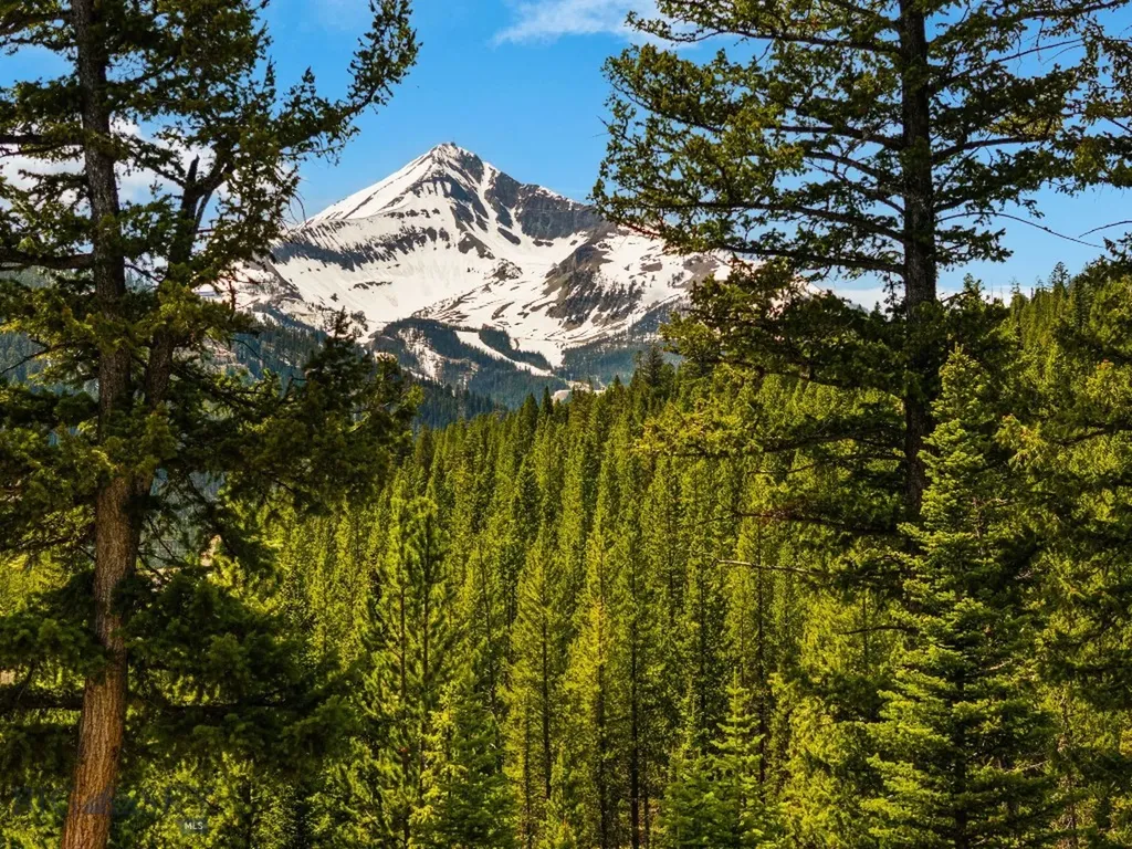 Nhn First Left Drive Big Sky MT 59716