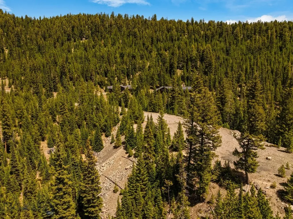Nhn First Left Drive Big Sky MT 59716