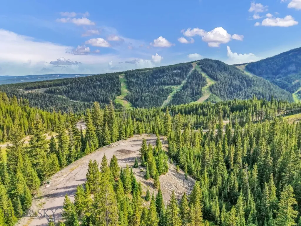 Nhn First Left Drive Big Sky MT 59716