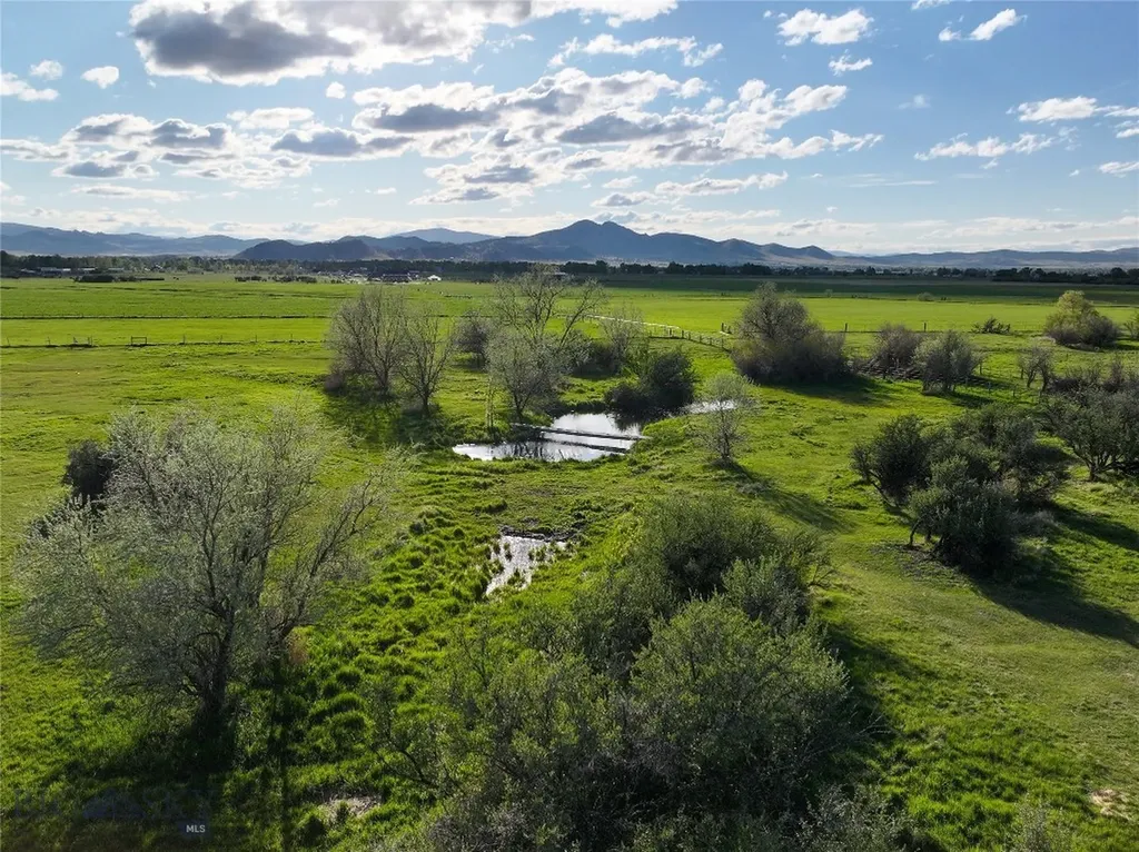 3950 Floweree Helena MT 59602