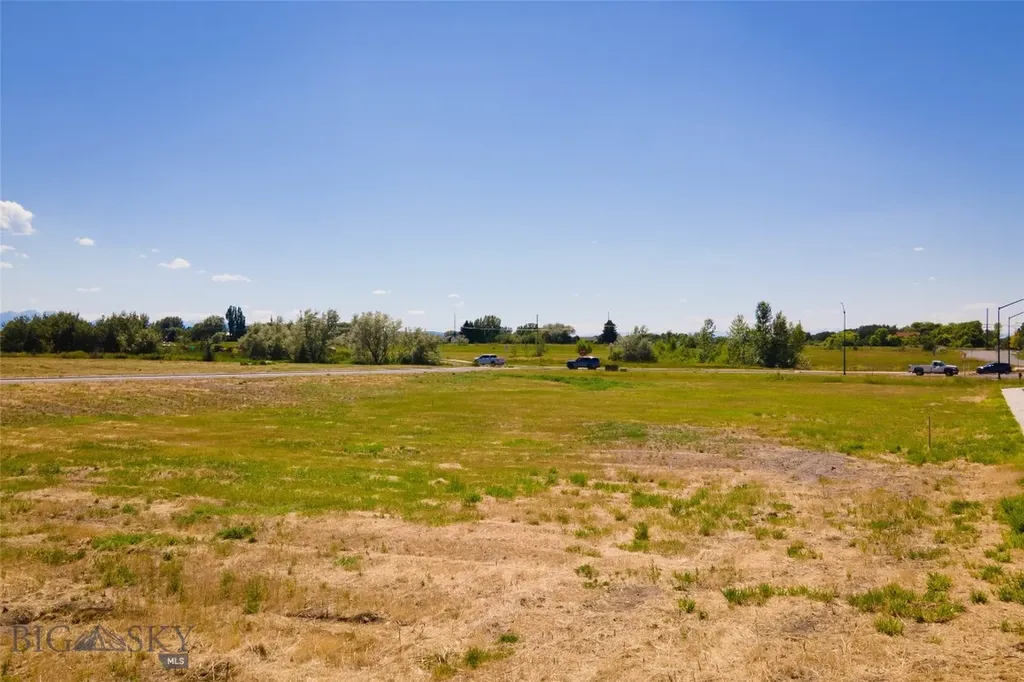 Lots 14a & 15a Cattail Street Bozeman MT 59718