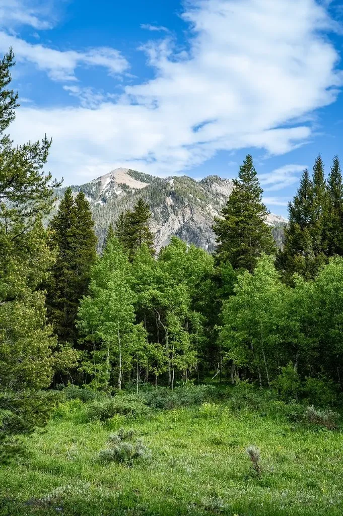 5200 Elk Lake Road Lima MT 59739