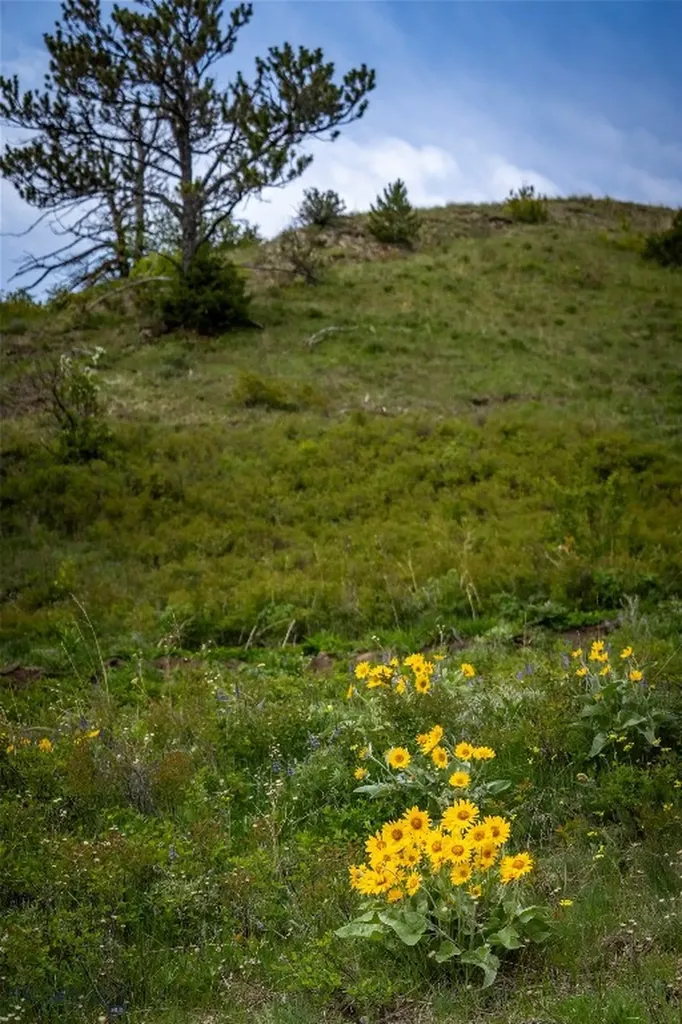 730 Us Highway 10 W Livingston MT 59047