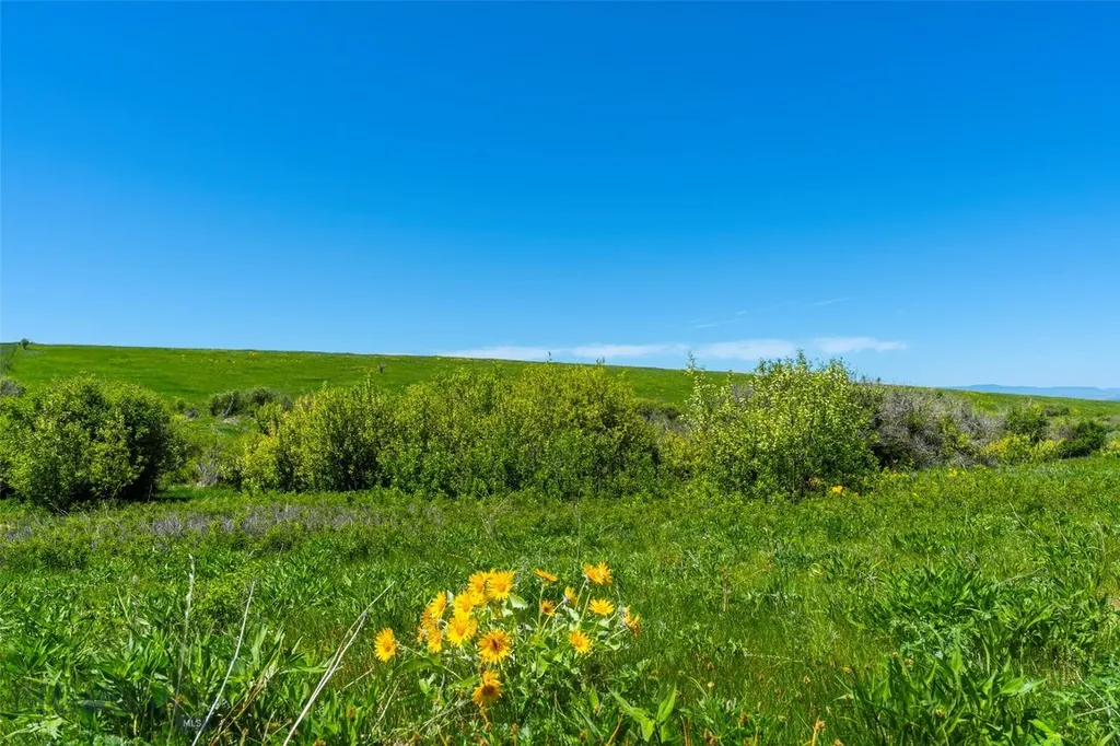 1856 Star Ridge Road Bozeman MT 59715