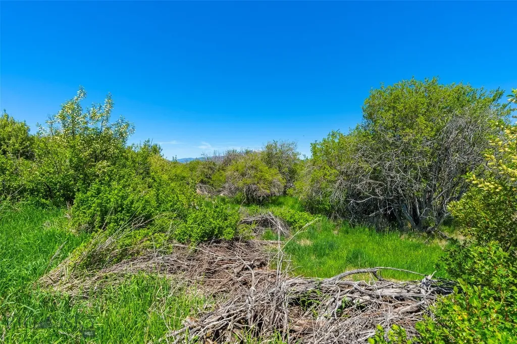 1856 Star Ridge Road Bozeman MT 59715