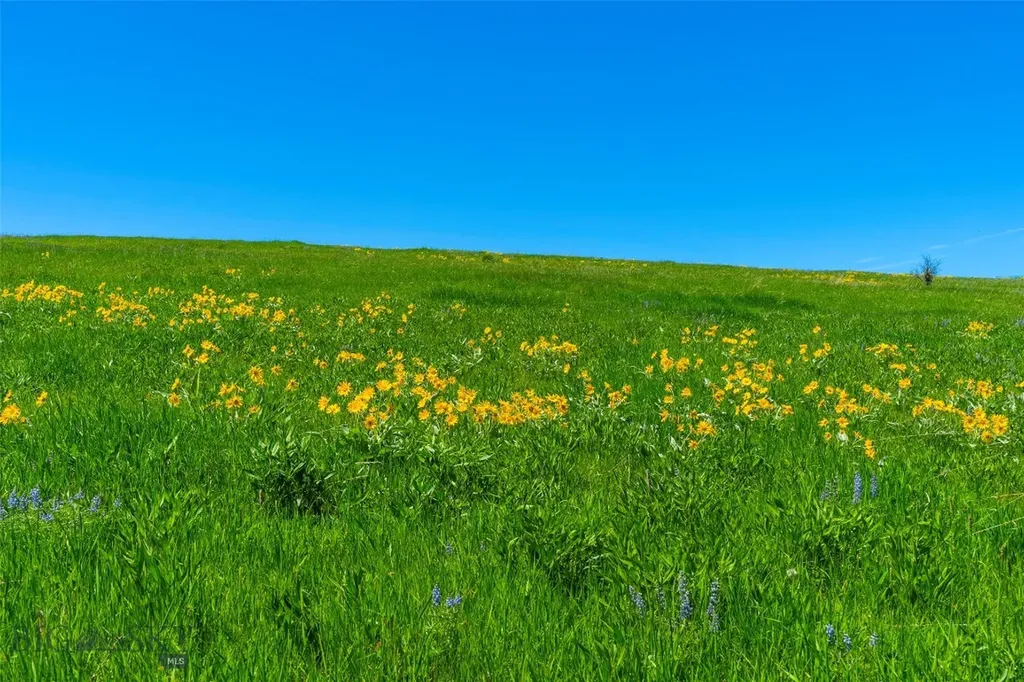 1856 Star Ridge Road Bozeman MT 59715