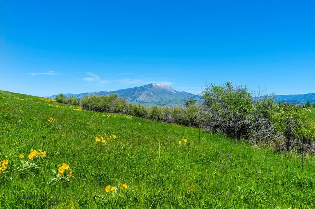 1856 Star Ridge Road Bozeman MT 59715