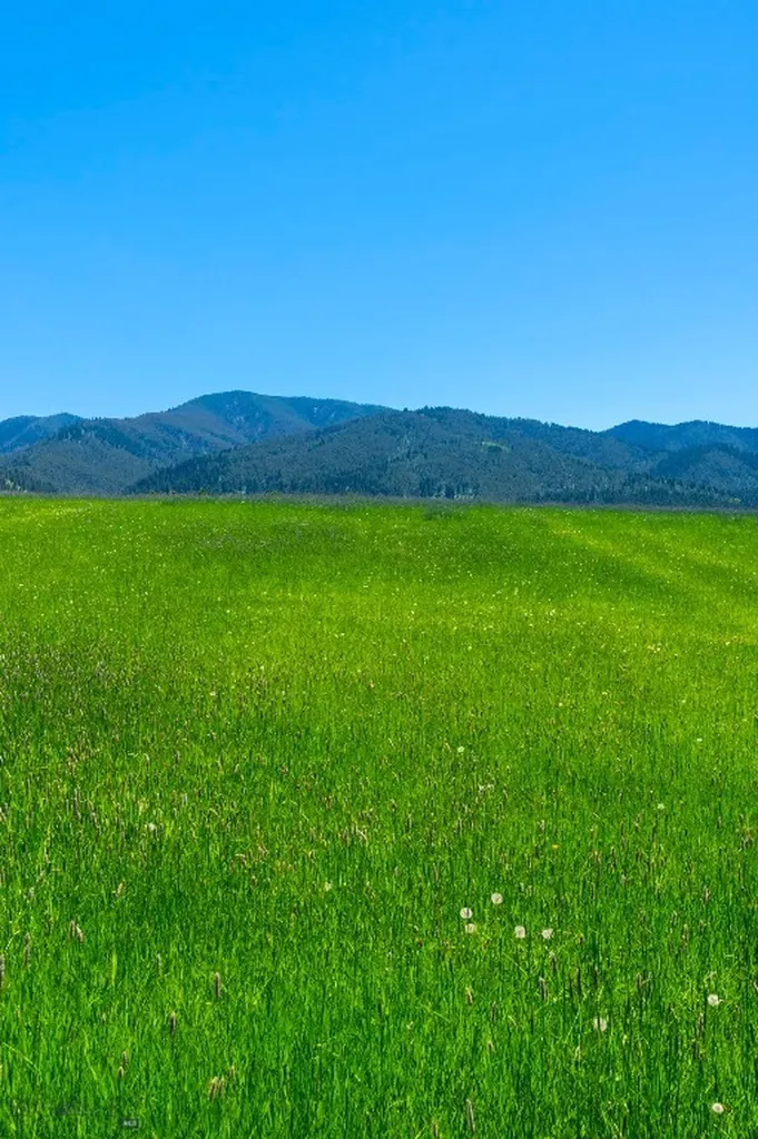1856 Star Ridge Road Bozeman MT 59715