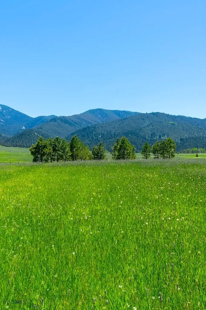 1856 Star Ridge Road Bozeman MT 59715