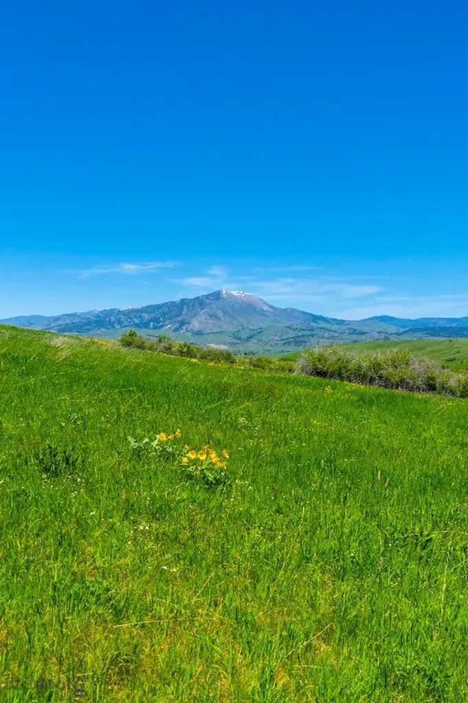 1856 Star Ridge Road Bozeman MT 59715