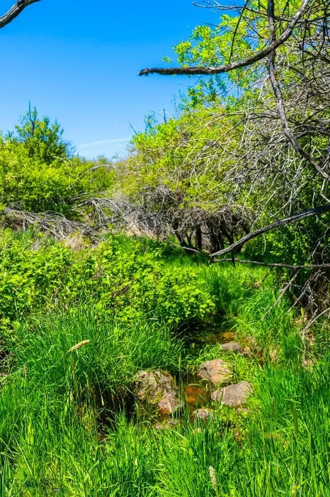 1856 Star Ridge Road Bozeman MT 59715