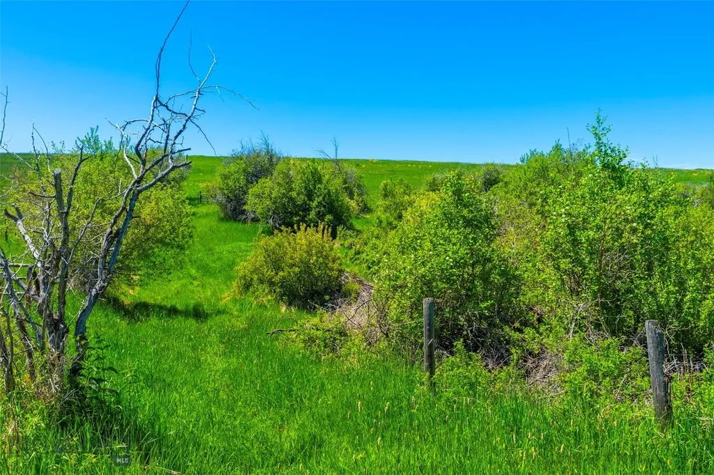 1856 Star Ridge Road Bozeman MT 59715