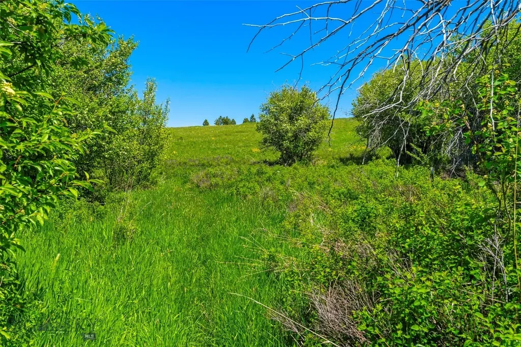 1856 Star Ridge Road Bozeman MT 59715