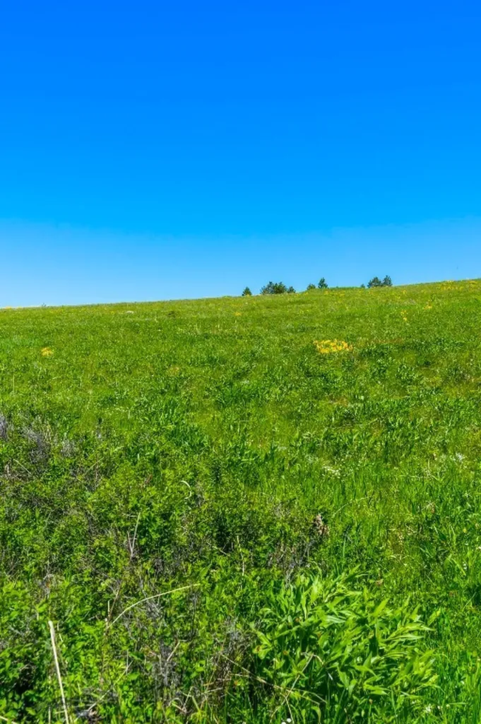 1856 Star Ridge Road Bozeman MT 59715