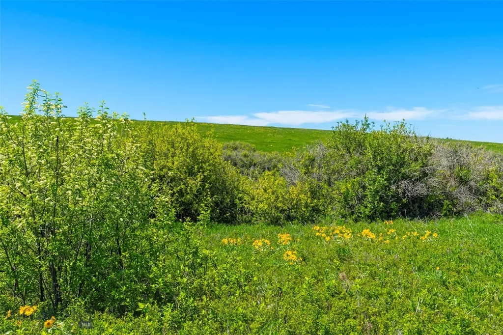 1856 Star Ridge Road Bozeman MT 59715