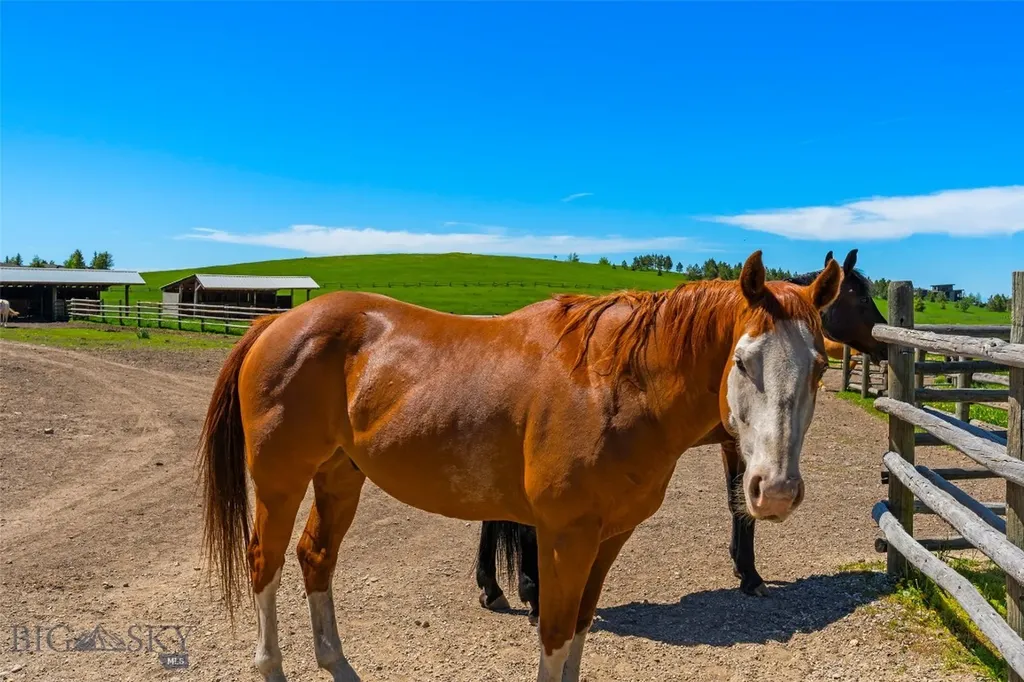 1856 Star Ridge Road Bozeman MT 59715