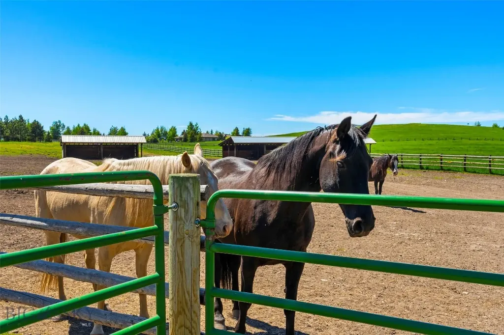 1856 Star Ridge Road Bozeman MT 59715