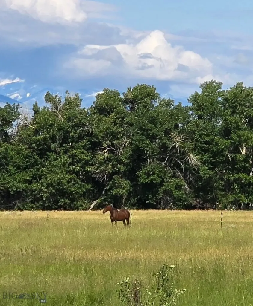 89 Indian Creek Road Sheridan MT 59749