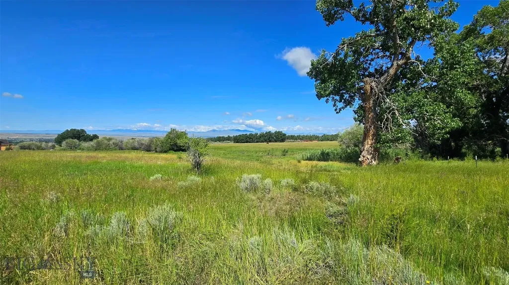 89 Indian Creek Road Sheridan MT 59749