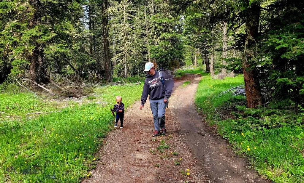 89 Indian Creek Road Sheridan MT 59749