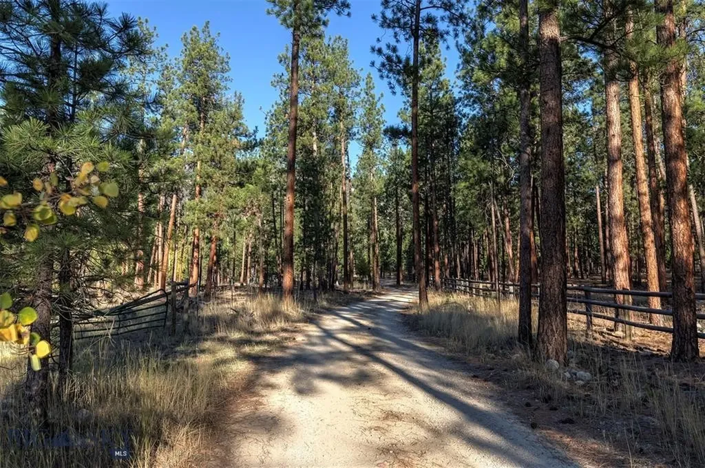 5600 Spring Mountain Florence MT 59833