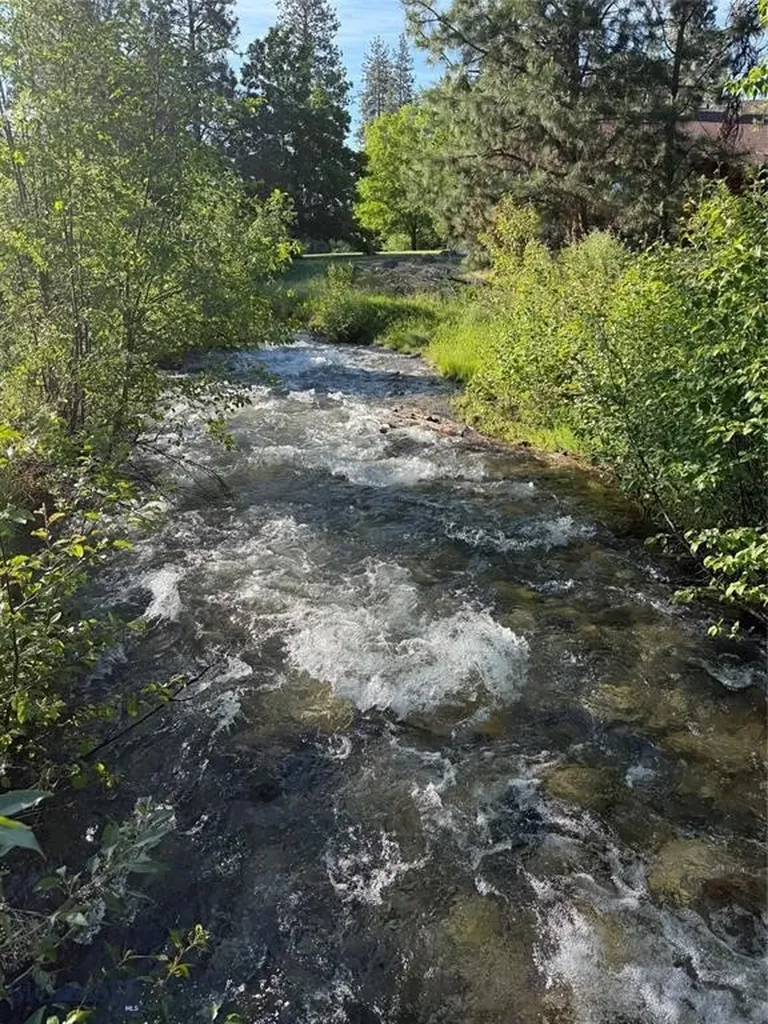 5600 Spring Mountain Florence MT 59833