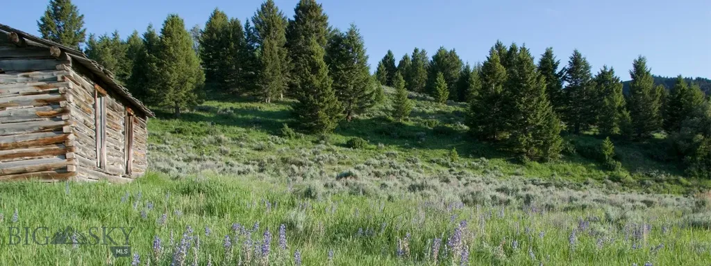 Tbd South Valley Road Dell MT 59724