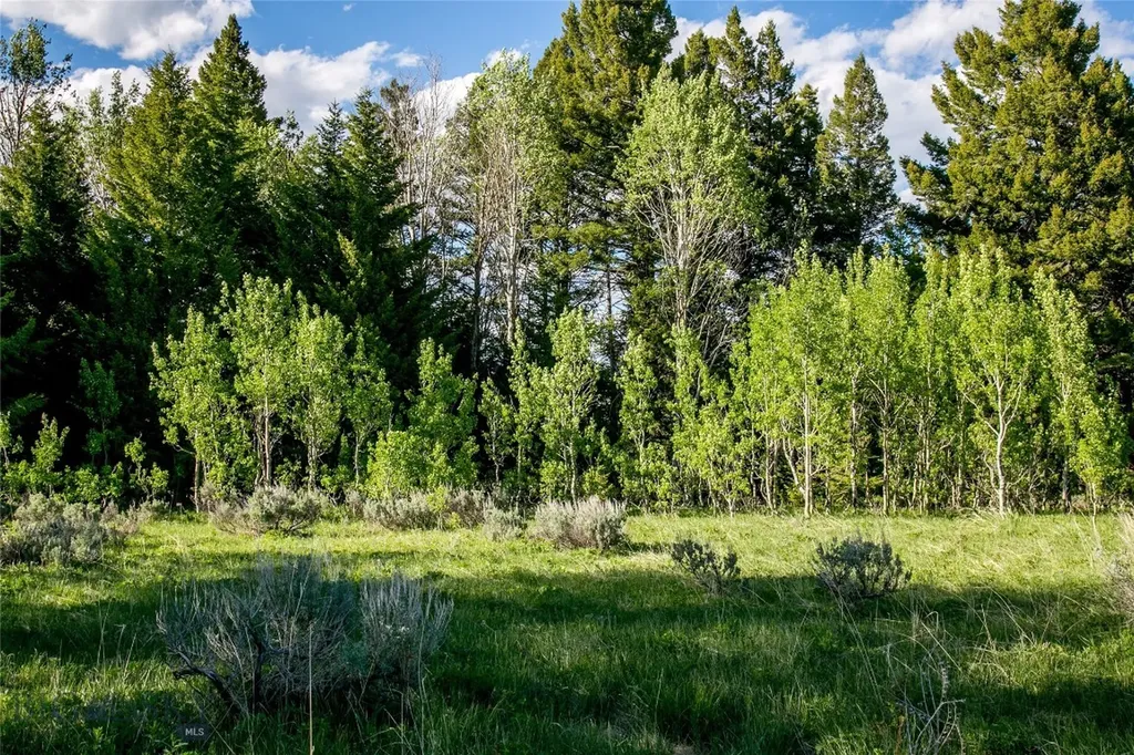 Sun West Ranch Lot 34 Cameron MT 59720