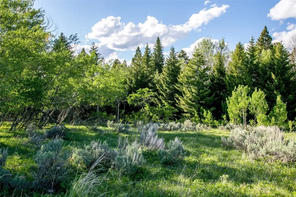 Sun West Ranch Lot 34 Cameron MT 59720