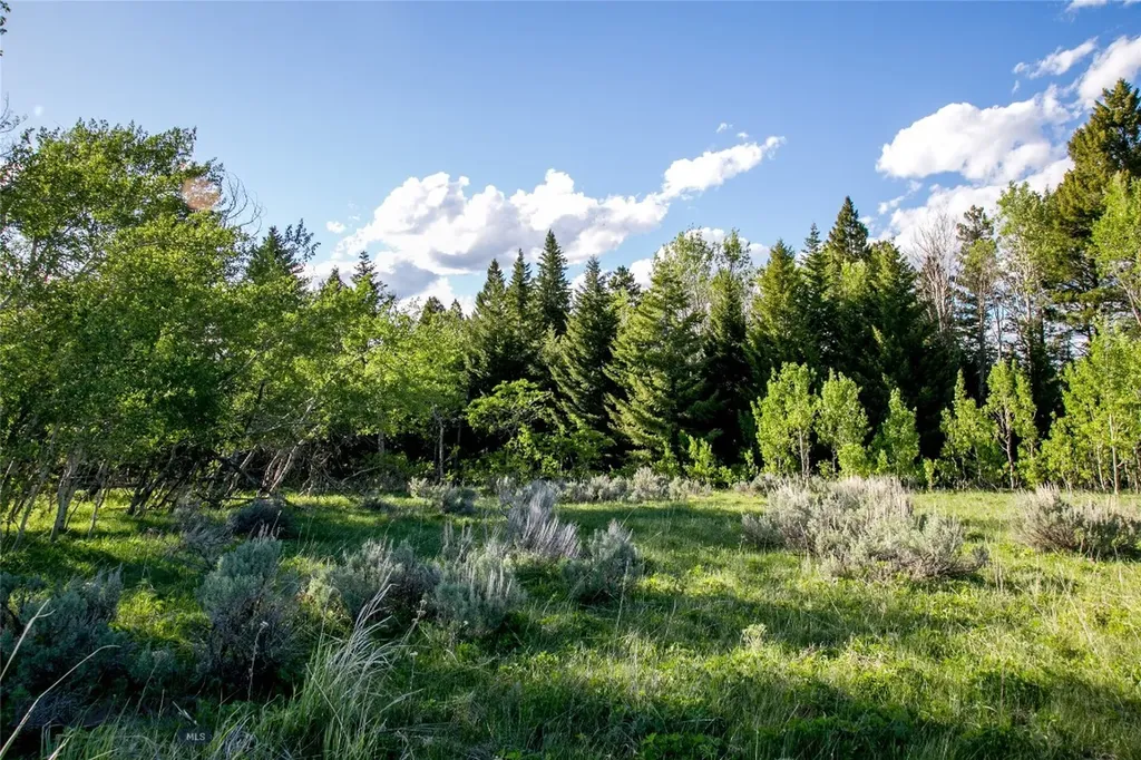 Sun West Ranch Lot 34 Cameron MT 59720