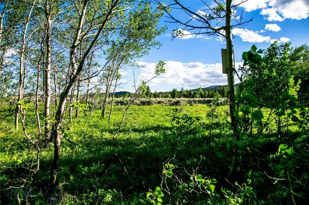 Sun West Ranch Lot 34 Cameron MT 59720