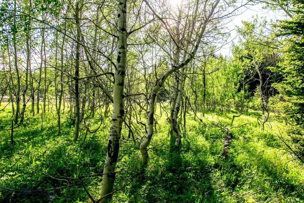 Sun West Ranch Lot 34 Cameron MT 59720