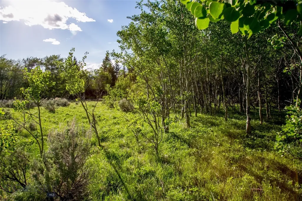 Sun West Ranch Lot 34 Cameron MT 59720