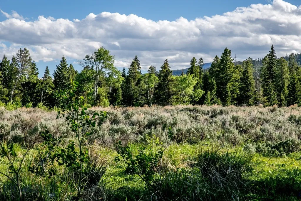 Sun West Ranch Lot 34 Cameron MT 59720
