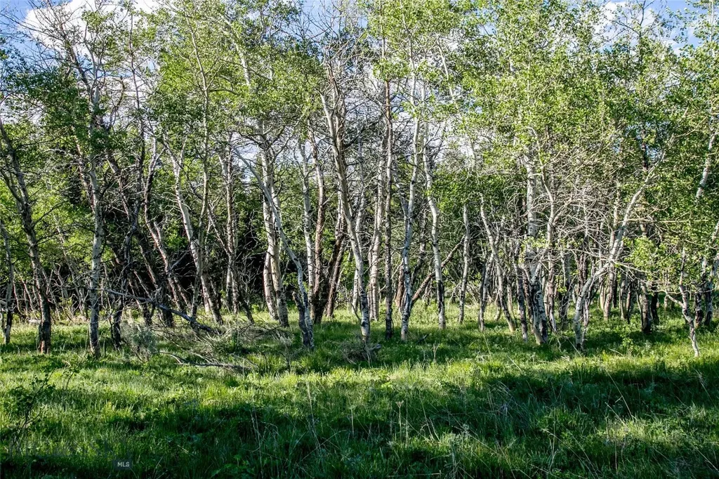 Sun West Ranch Lot 34 Cameron MT 59720