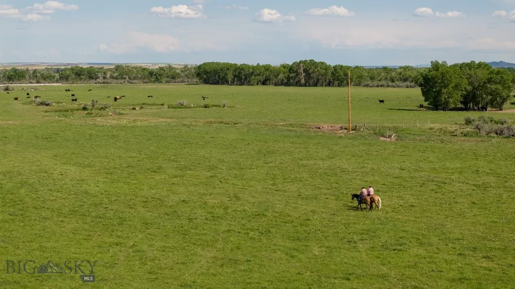 Choteau MT 59422