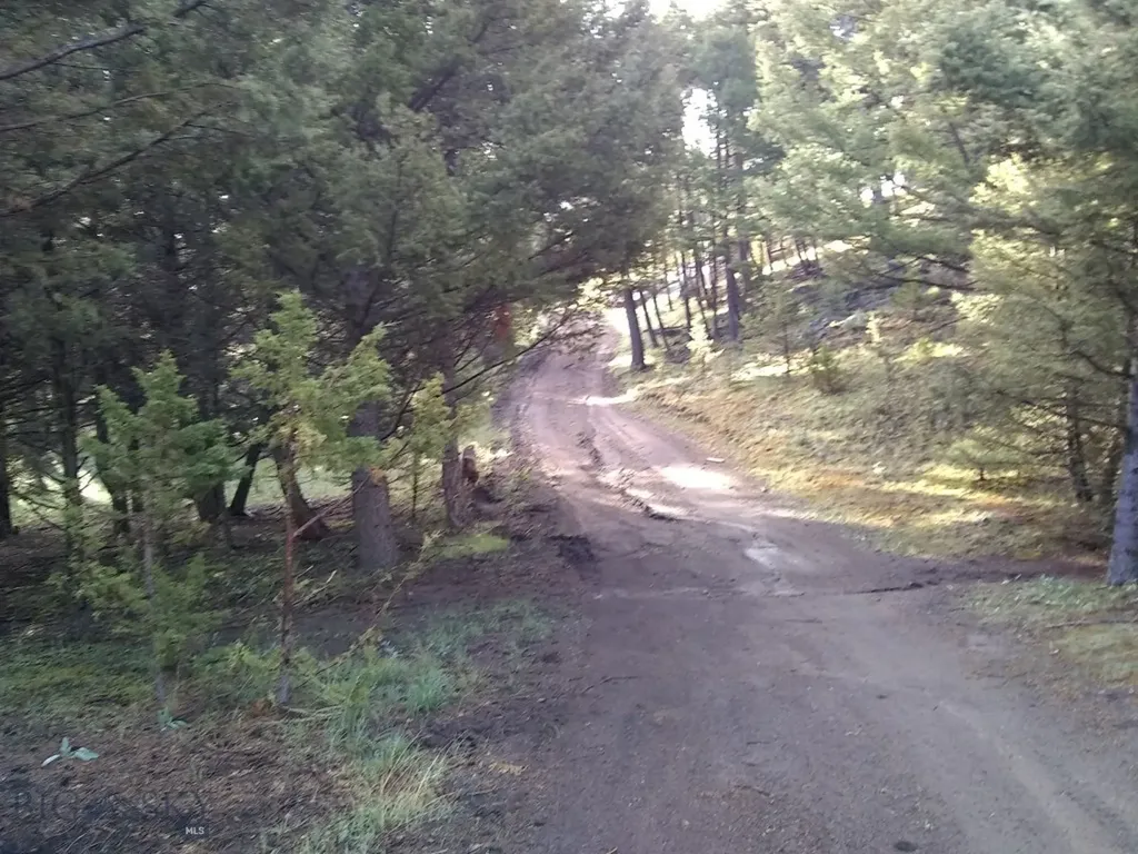 16 Friendspring Whitehall MT 59759