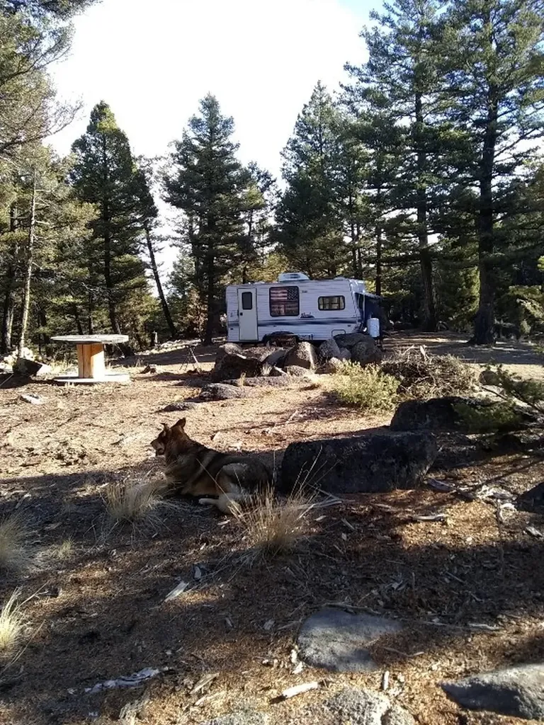 16 Friendspring Whitehall MT 59759