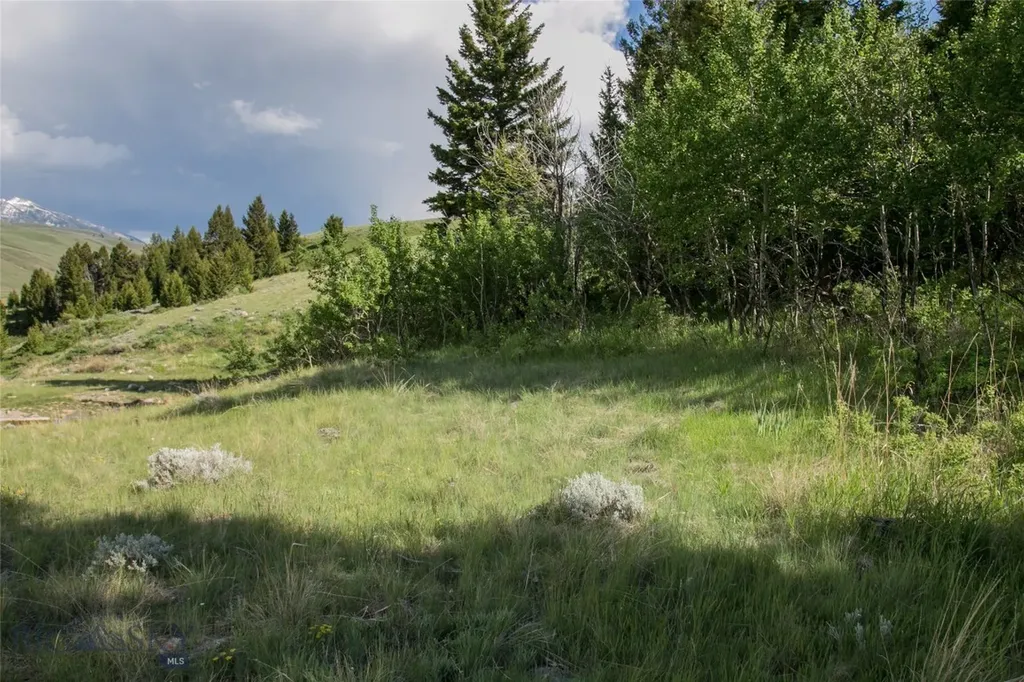 Sun West Ranch Lot 3 Cameron MT 59720