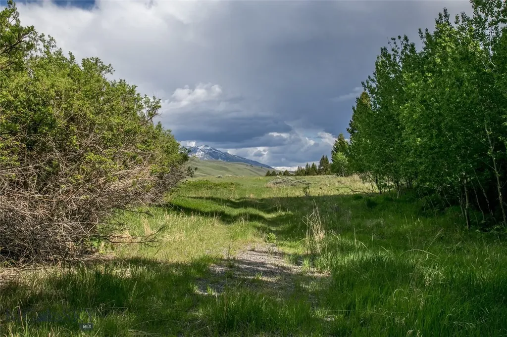 Sun West Ranch Lot 3 Cameron MT 59720