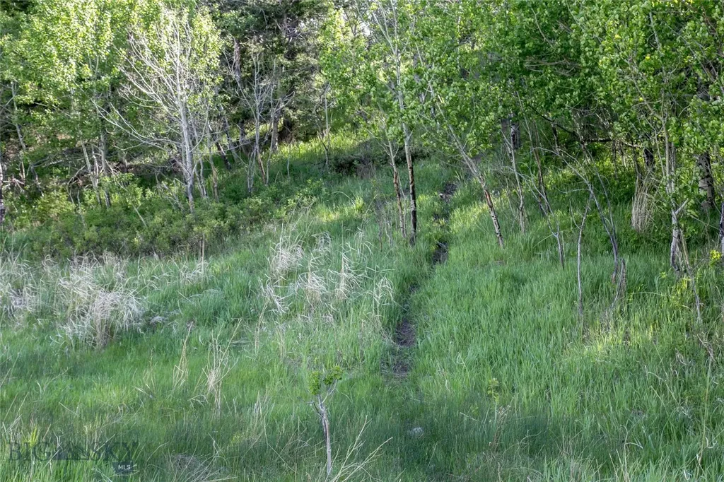 Sun West Ranch Lot 3 Cameron MT 59720