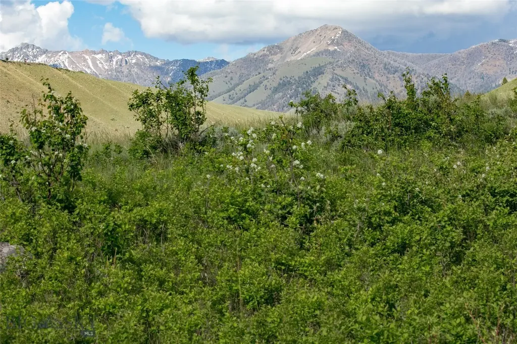 Sun West Ranch Lot 3 Cameron MT 59720