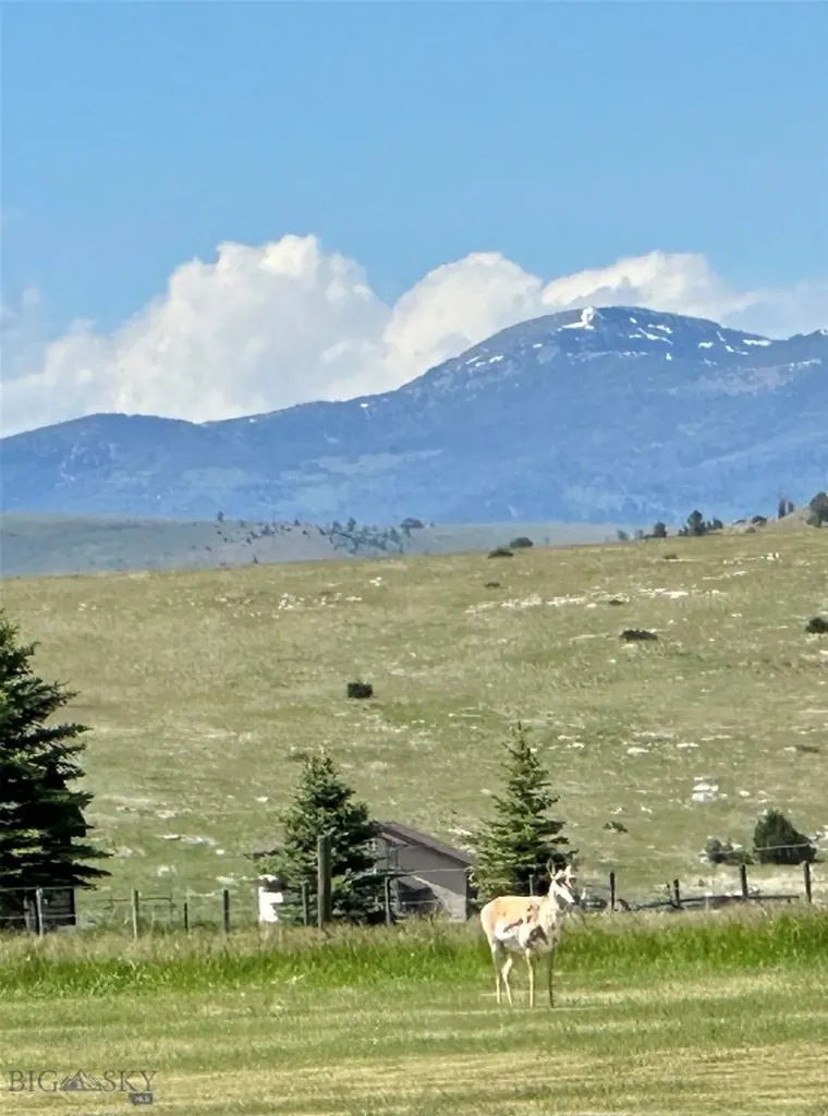 172 Hayfield Loop Ennis MT 59729