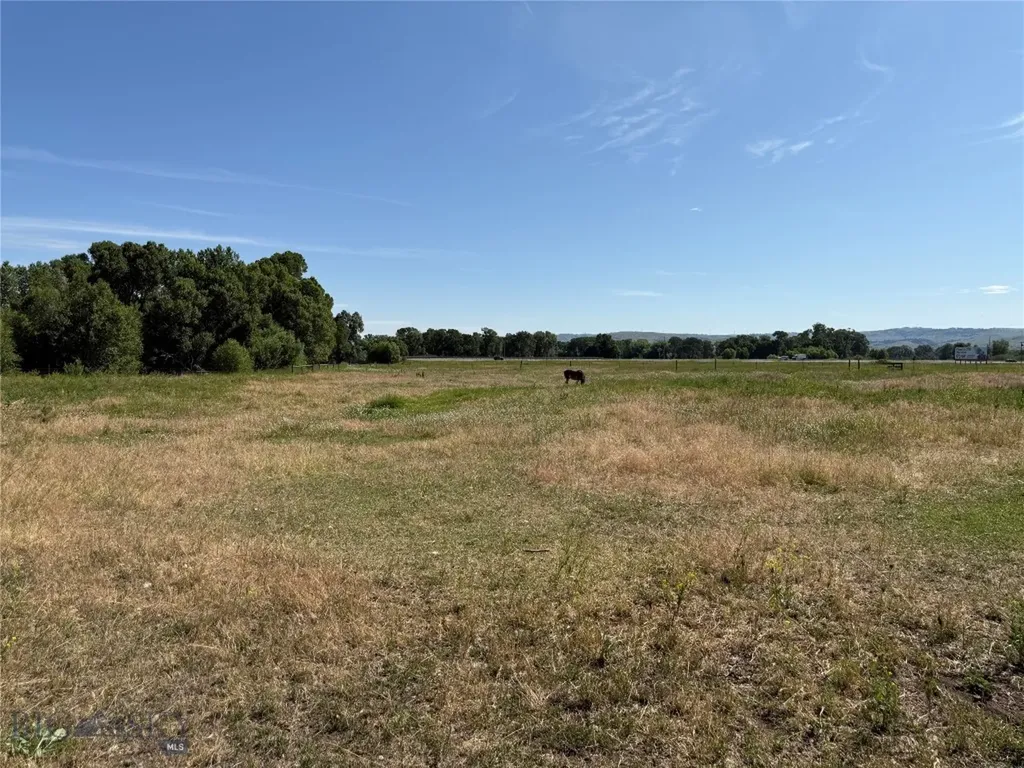 16 Powder Horn Ranch Drive Big Timber MT 59011