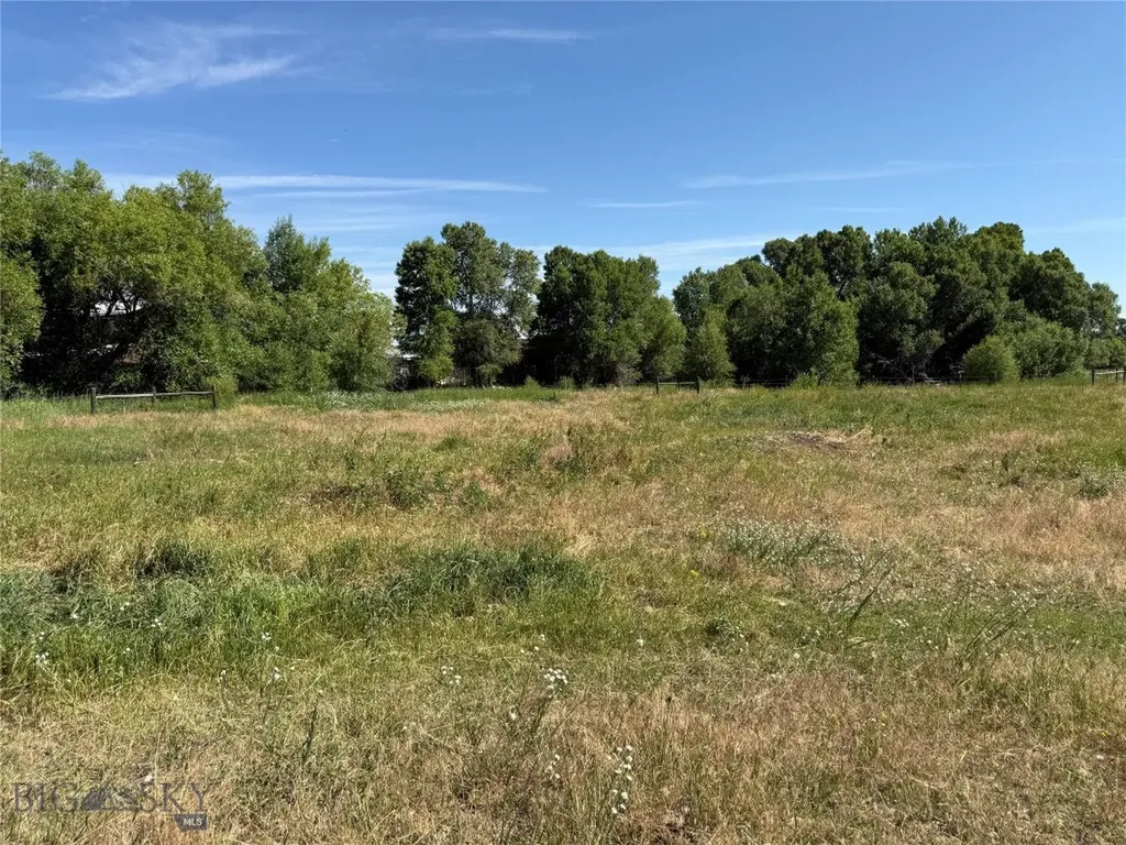 16 Powder Horn Ranch Drive Big Timber MT 59011