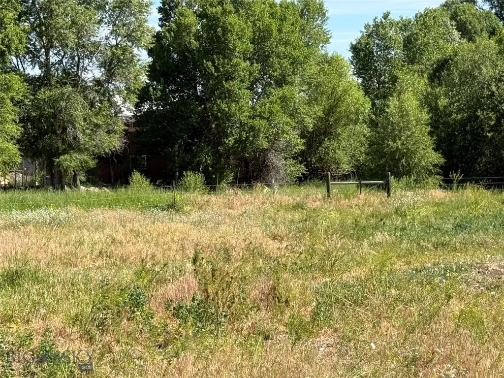 16 Powder Horn Ranch Drive Big Timber MT 59011