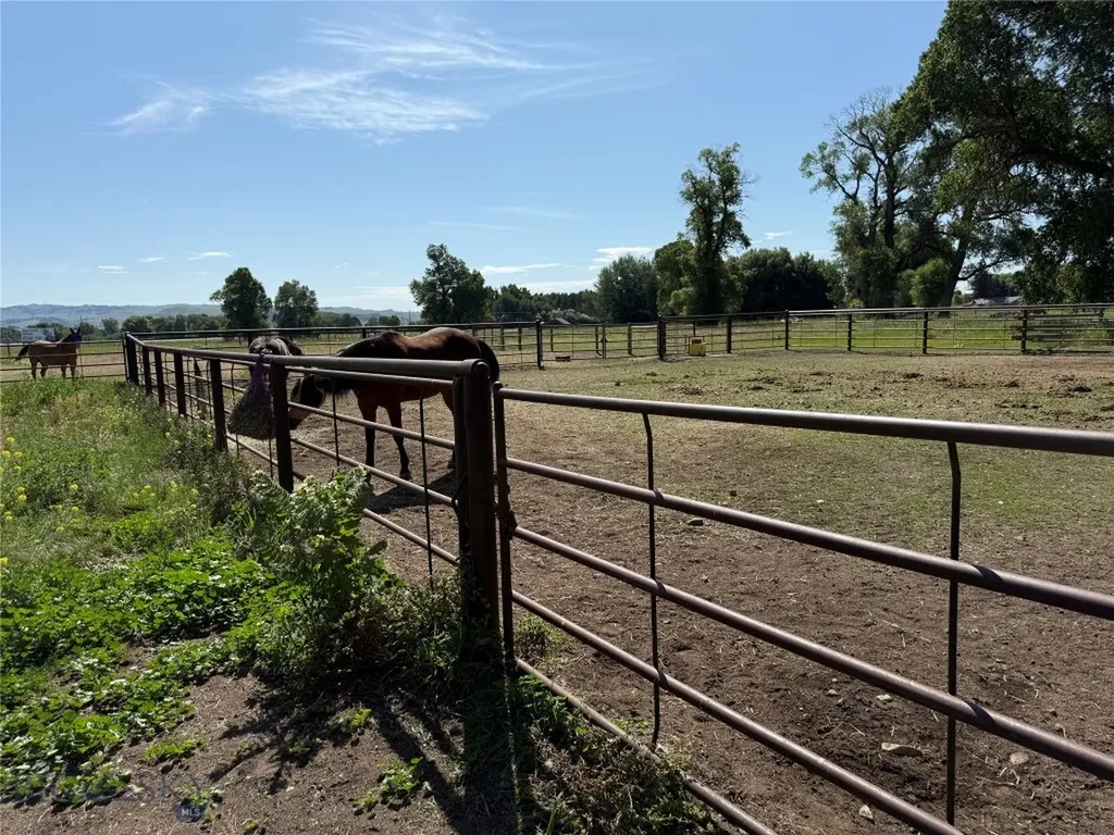 16 Powder Horn Ranch Drive Big Timber MT 59011